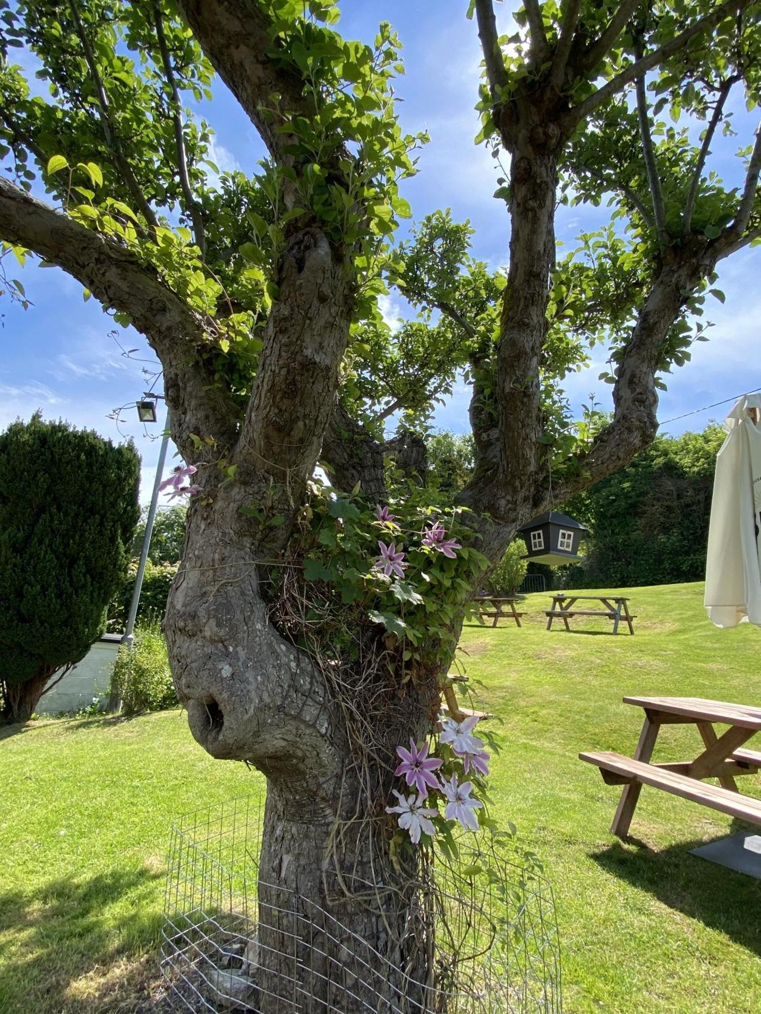 The Lydden Bell Bed and Breakfast Εξωτερικό φωτογραφία
